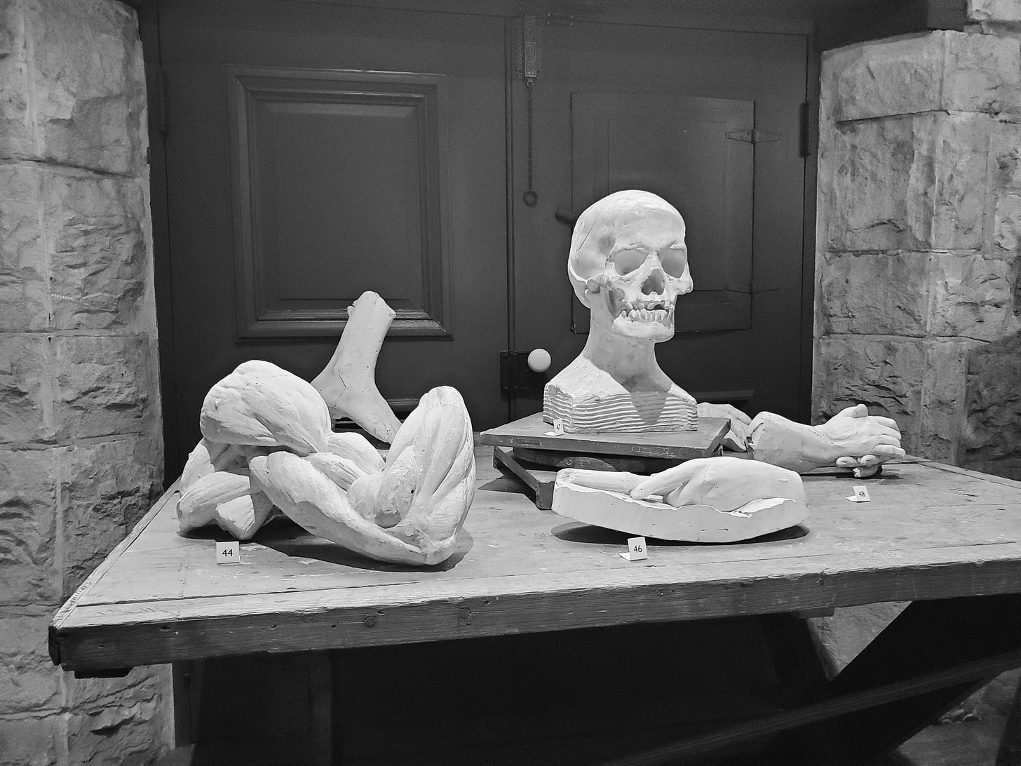 Practice sculptures of different human anatomy. There is a skull, clasped hands, a foot, and the tensed muscles of a shoulder and arm ending at the wrist all strewn on a table.