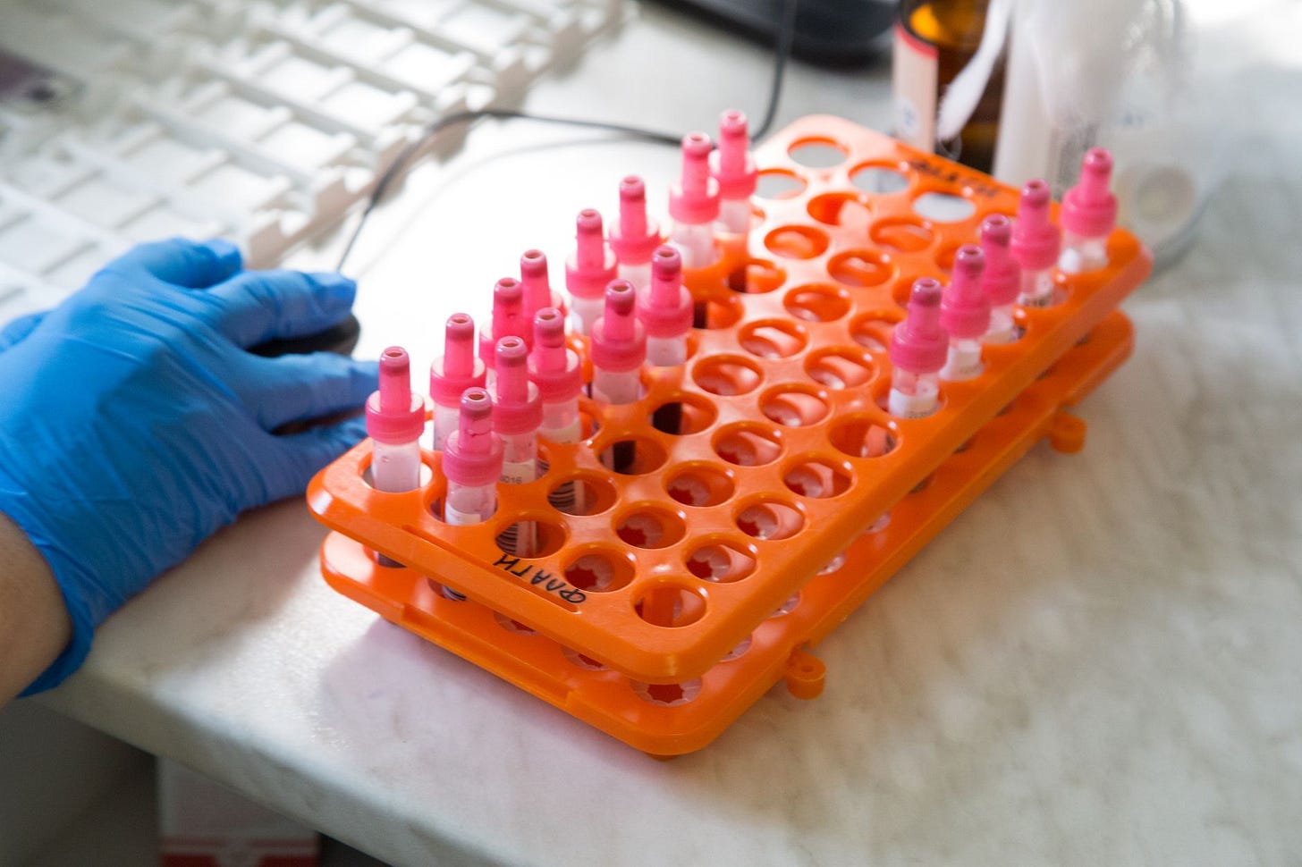 Photo by Plato Terentev on Pexels Various test tubes in an orange rack inside a laboratory setting. (stock photo)