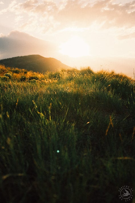 Fuji photographs of life in Montana by Tyler Knott Gregson