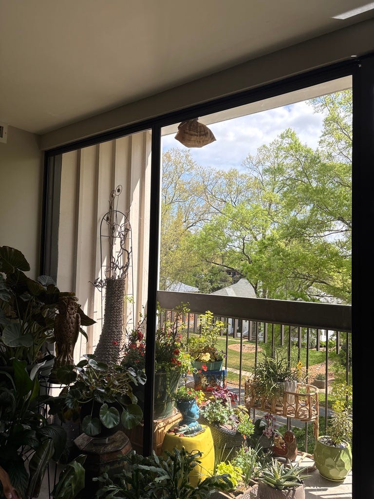 looking onto a balcony from indoors