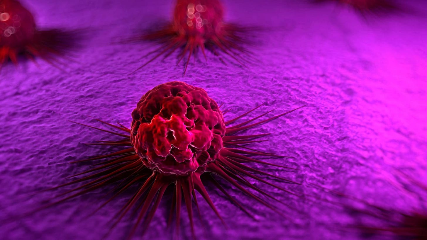 cancer stem cells hero