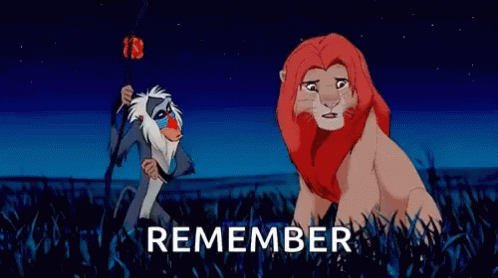 a lion and a monkey from the lion king are standing in a field with the words `` remember '' below them . a lion and a monkey from the lion king are standing in a field with the words `` remember '' below them .