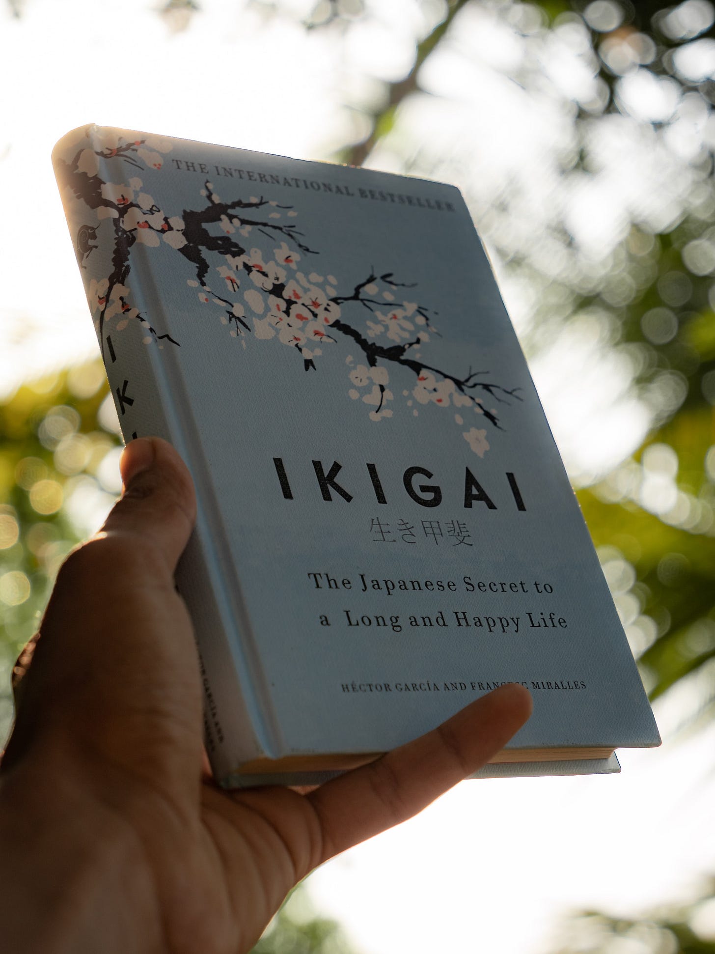 Not Ikigai (but it's still how I got here)- My Journey to Alignment