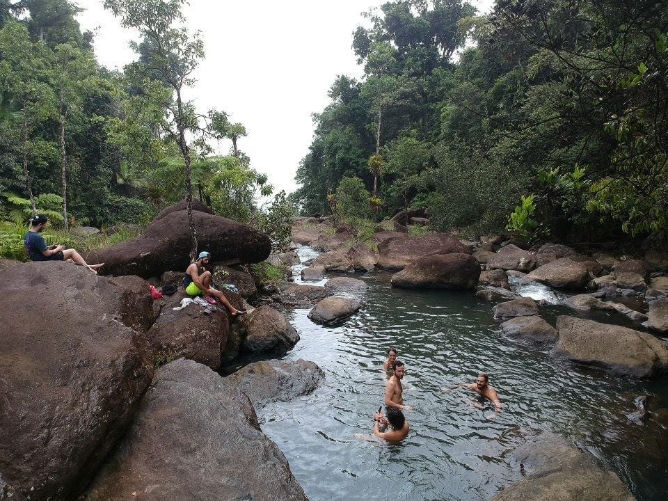 No description available.