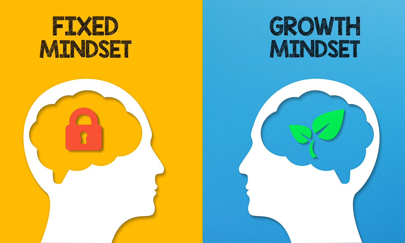 Growth Mindset in Software Engineering Growth Mindset in Software Engineering