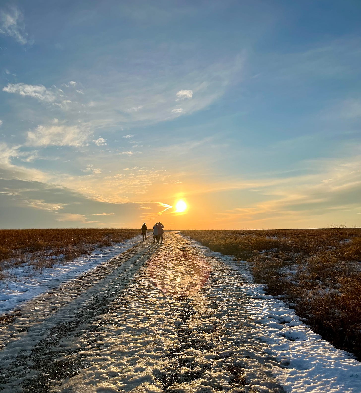 Silhouette of four people on a snowy path at sunset on the prairie