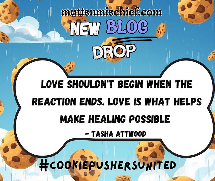 Cookie-themed blog promo with floating cookies,  Cookie-themed new blog drop graphic with rain, clouds, and a quote about love and healing by Tasha Attwood.rainy blue sky, and quote about dog reactions; NEW BLOG DROP, #cookiepushersunited.
