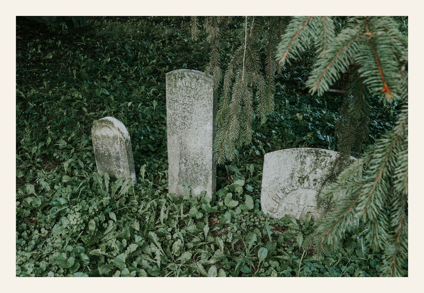 Three weathered grave markers Lovejoy Cemetery Durand Michigan historic headstones overgrown