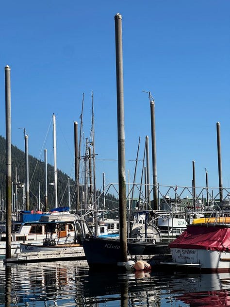 Seiners, gillnets, and longliners crowd the docks of Petersburg, Alaska until an "opener" commences.