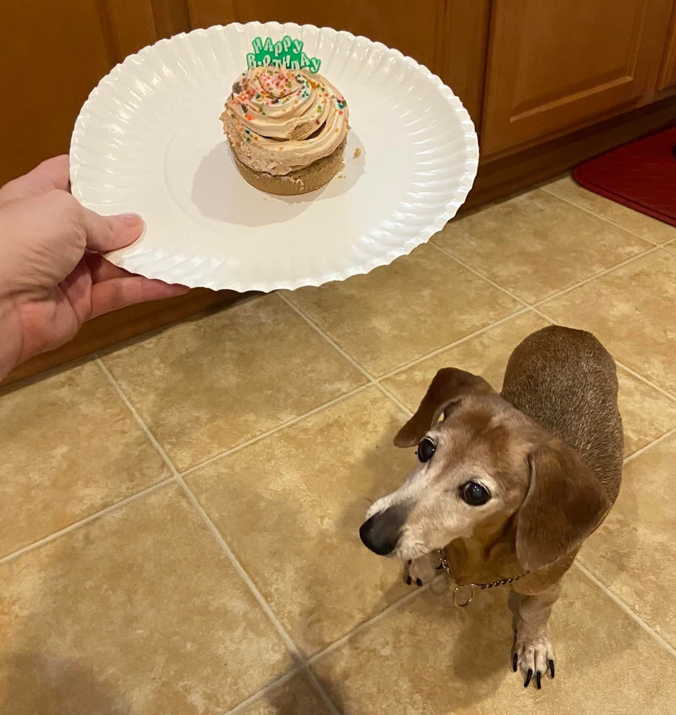 No photo description available.