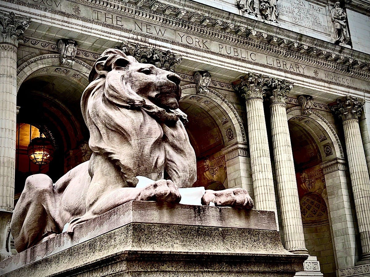 Patience, one of the lions outside the library's main branch. Image: John Dillenbeck via Wikimedia Commons