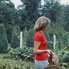 Substack Needs a Home & Garden Category