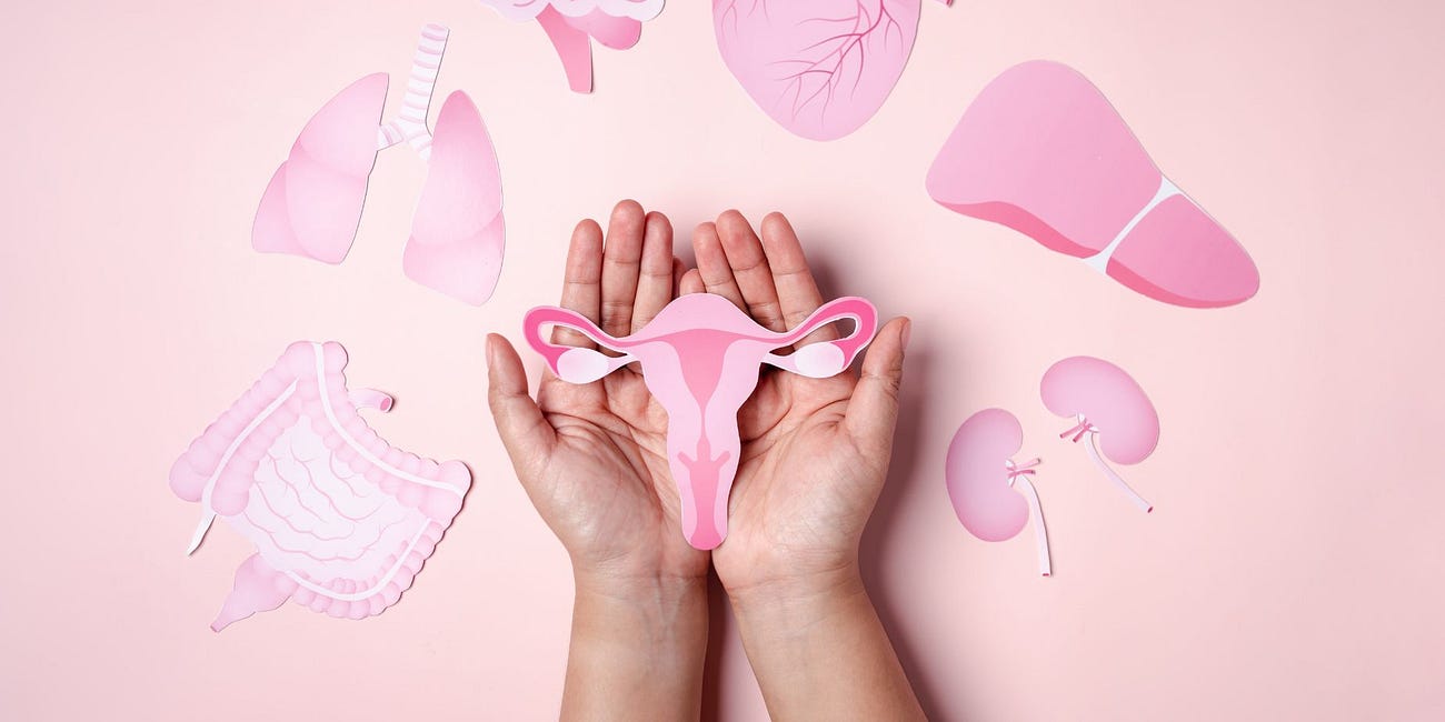 Decoding your menstrual cycle