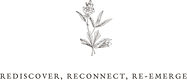 Rediscover · Reconnect · Re-Emerge