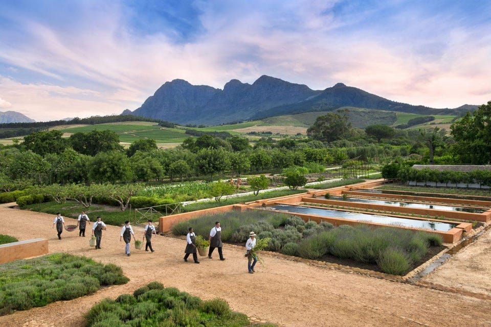 From Farm to Estate in Cape Town's Winelands: Babylonstoren and Leeu Estates