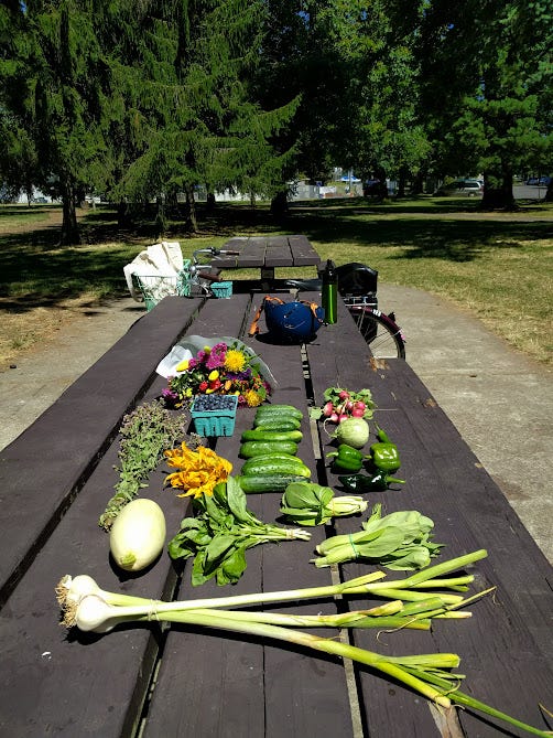summer and winter produce hauls