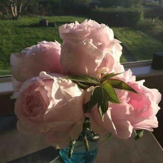 Confissões de adolescente