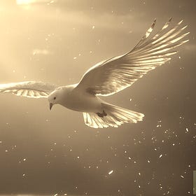 Finding Peace