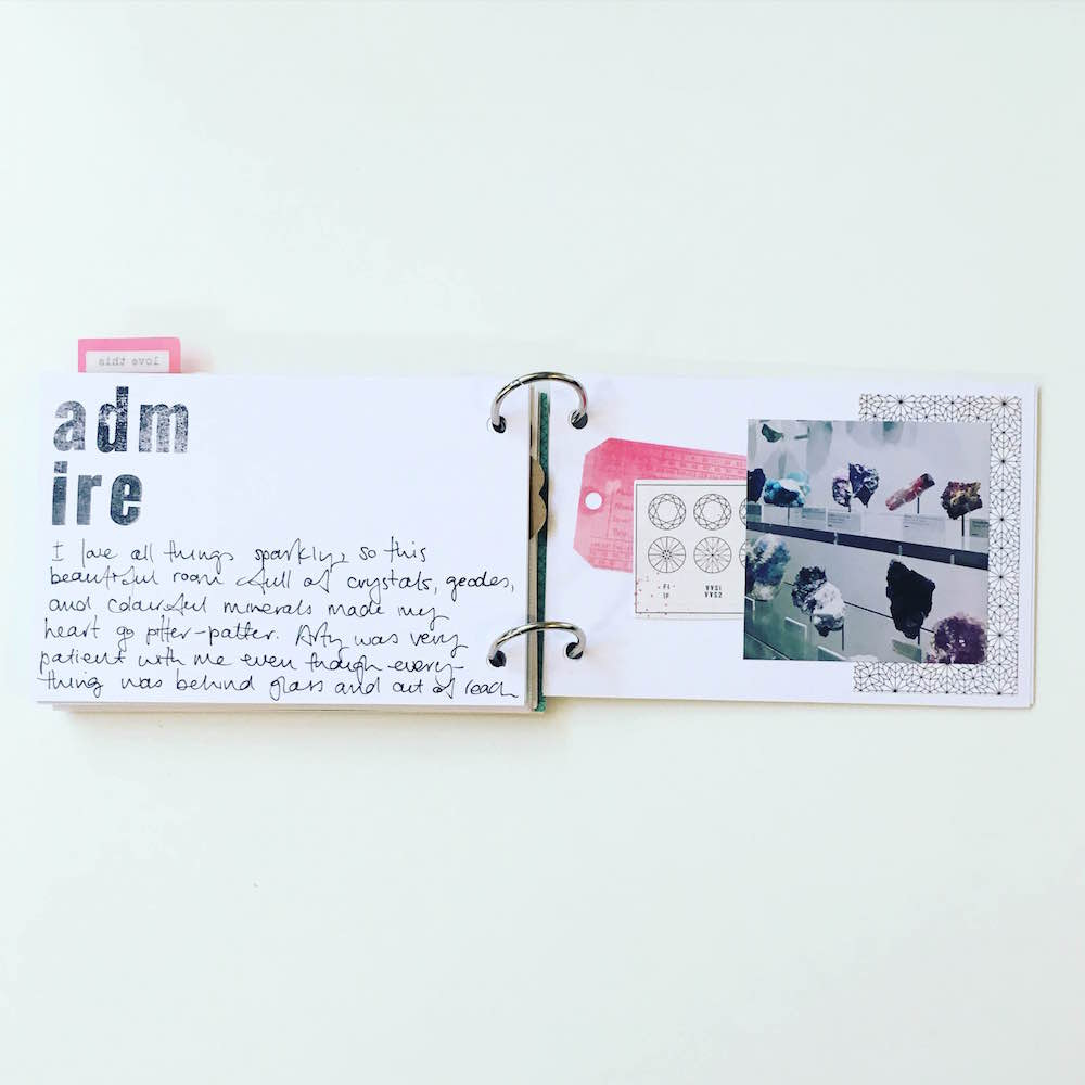 Mama Finch Museum Mini-Album for rukristin Mama Finch Museum Mini-Album for rukristin