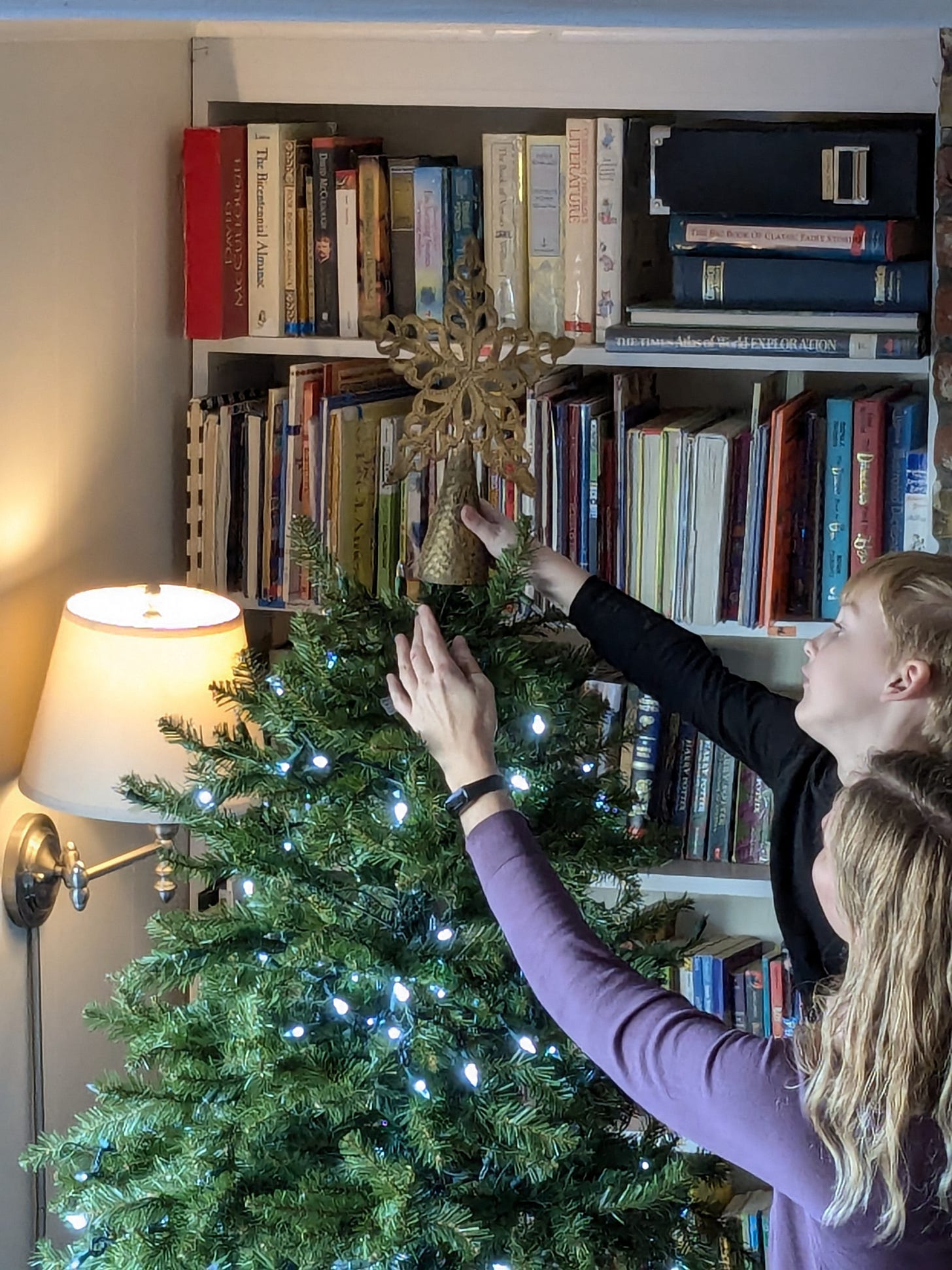 Mother picking up son to put a star on top the Christmas Tree Mother picking up son to put a star on top the Christmas Tree