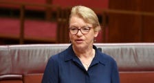 Greens Senator Janet Rice (Image: AAP/Mick Tsikas)