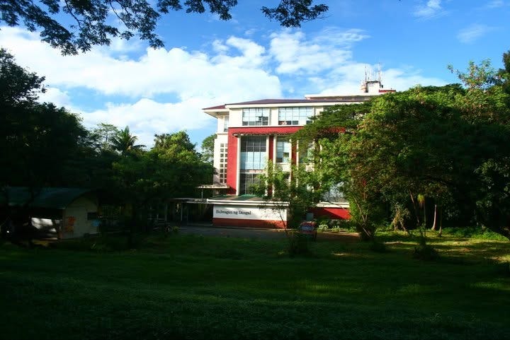 a picture of UP Diliman Main Library from the side with a view of the Sunken Garden