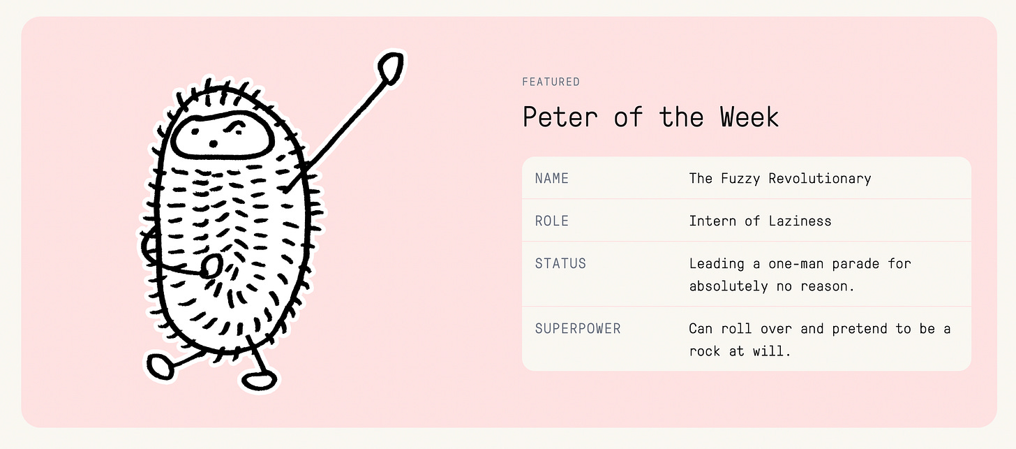 Peter. A tiny companion for a big, complicated world.