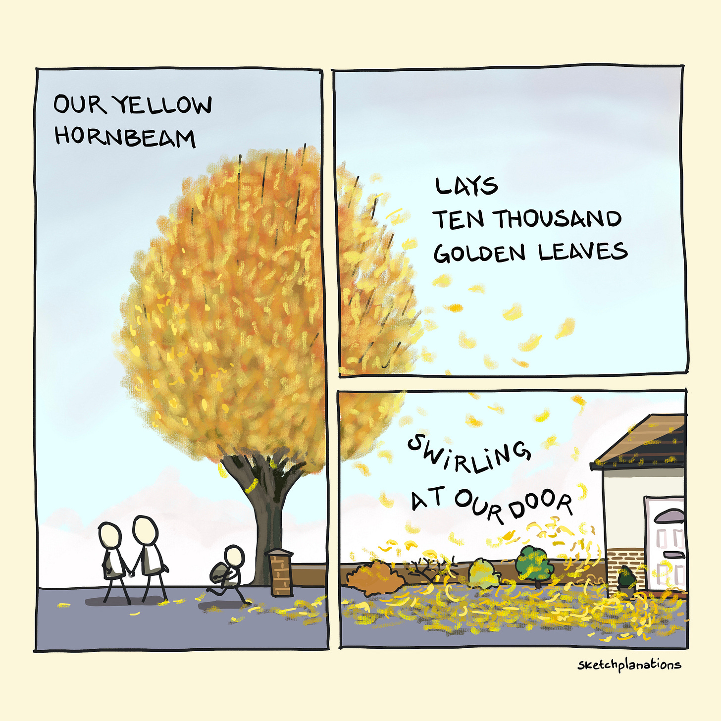 Our yellow hornbeam, haiku comic - haikomic