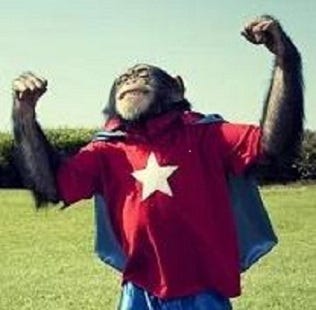 MadChimp’s Substack logo