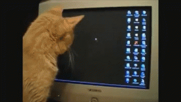 Watching Work From Home GIF Watching Work From Home GIF