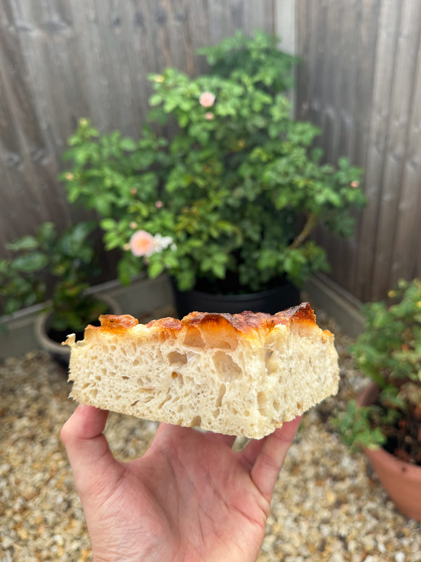 slice of focaccia