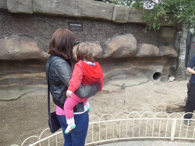 Sian and Jasmine with the Meerkats Sian and Jasmine with the Meerkats