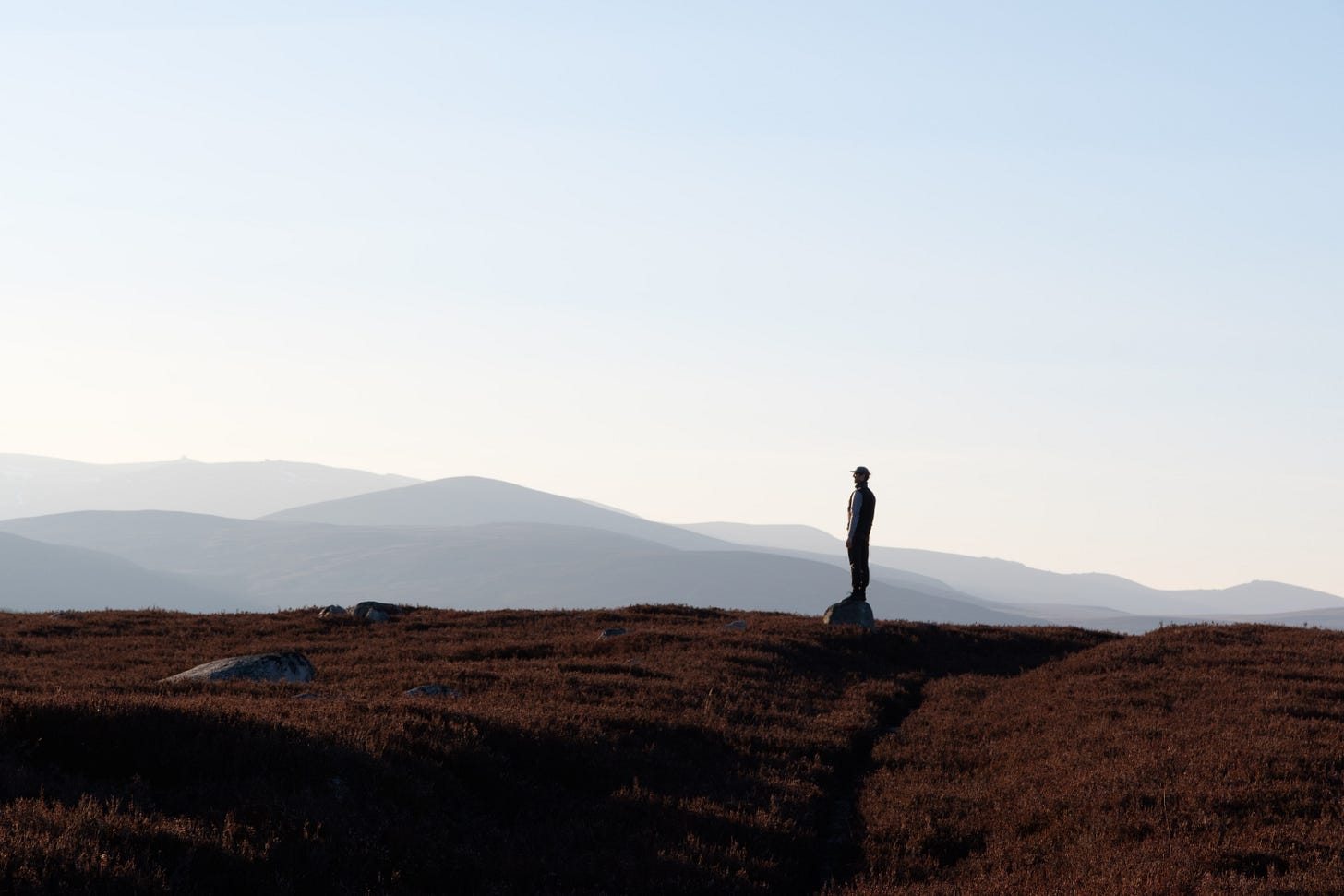 A person stands on a hillside covered in heather, looking out across a vast and quiet landscape, evoking a sense of belonging and contemplation.
