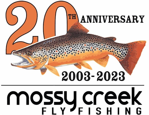 A picture containing text, fish

Description automatically generated