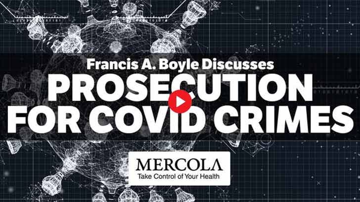 Roadmap for Prosecuting COVID Crimes- Interview with Francis A. Boyle