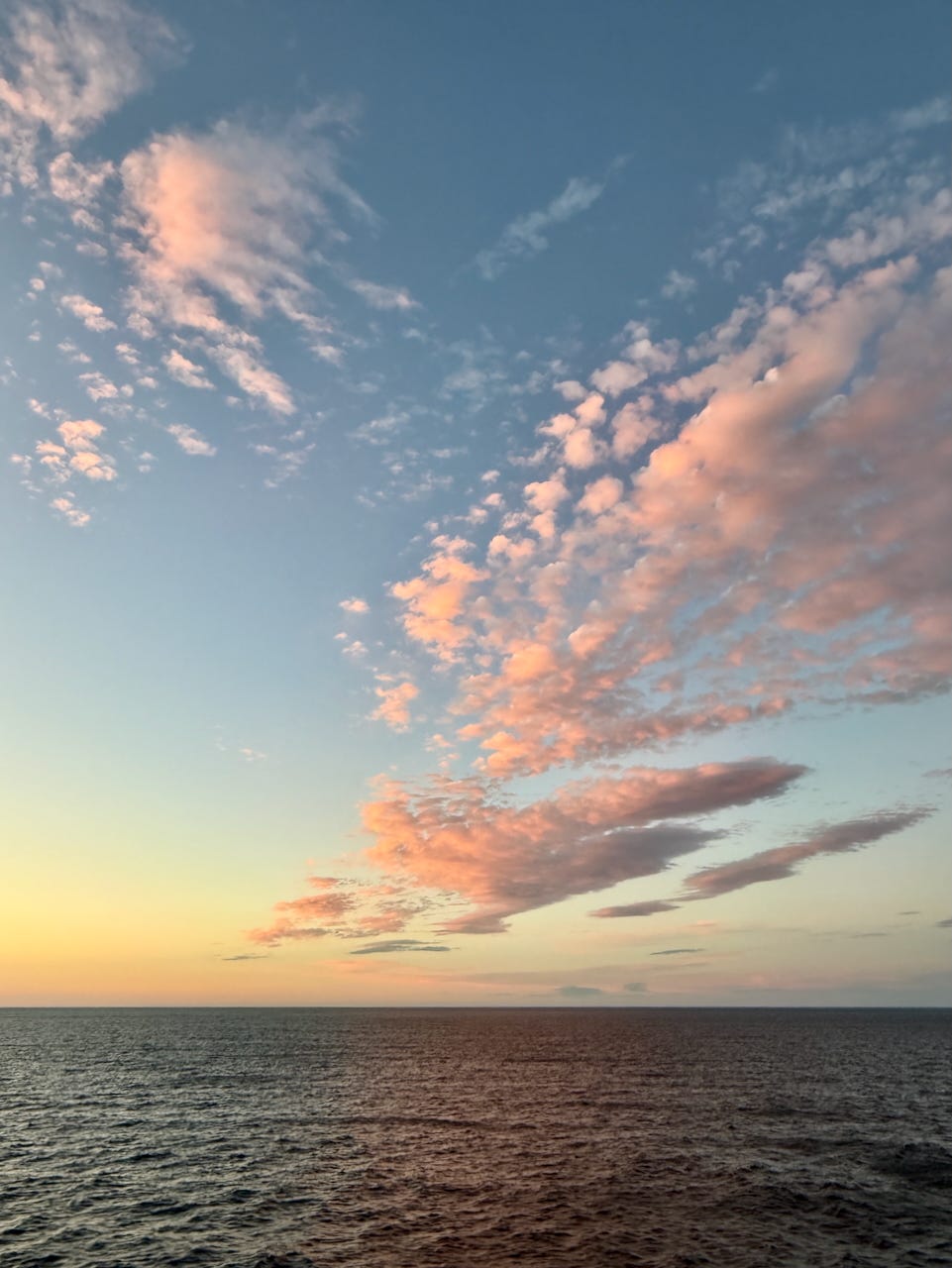 IMG_0573.jpeg