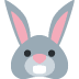 🐰