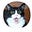 boocat's avatar