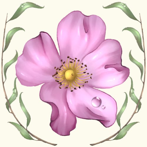 Willow Rose Botanicals logo