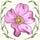 Willow Rose Botanicals