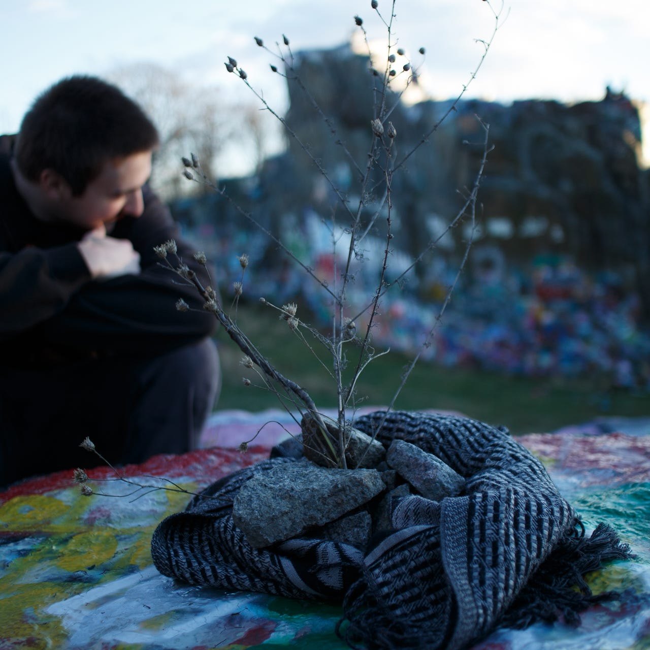 The Perks of Being a Fly on the Wallflower