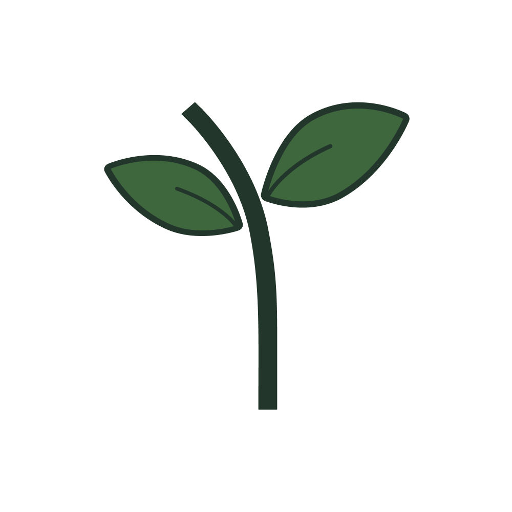 The Rhize Report logo