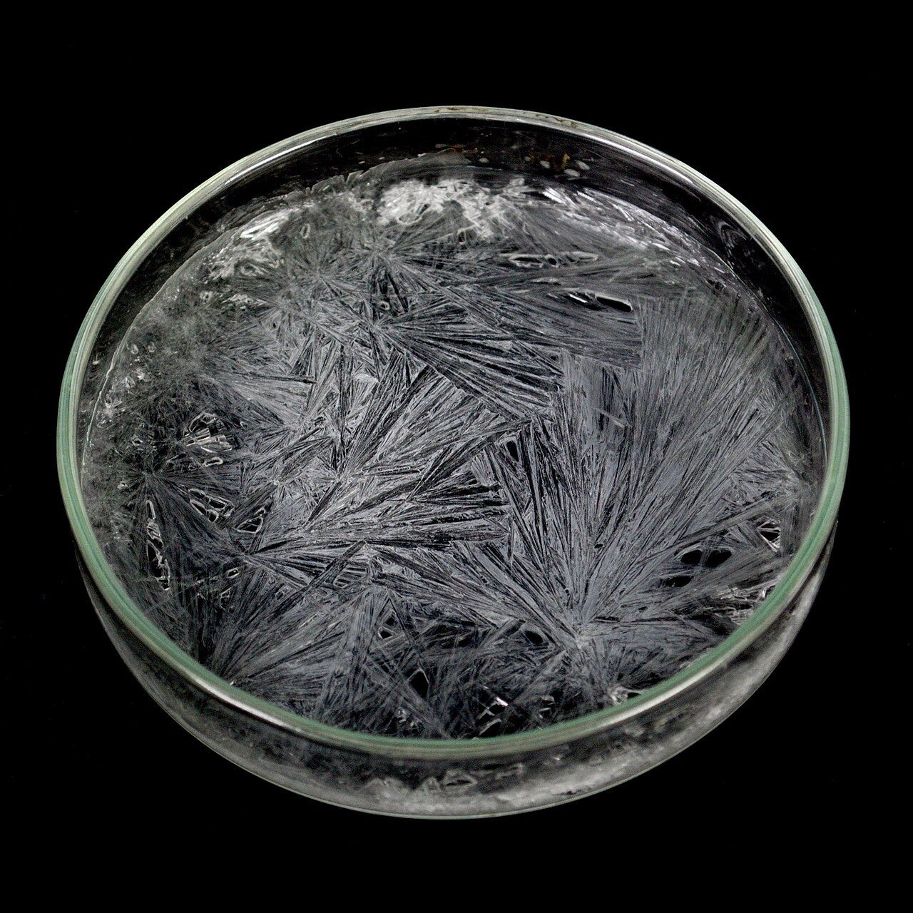 reusable heat pack — Sodium acetate crystallizing out of a supersaturated solution. Photo by Ivee / CC BY-SA 4.0, via Wikimedia Commons reusable heat pack — Sodium acetate crystallizing out of a supersaturated solution. Photo by Ivee / CC BY-SA 4.0, via Wikimedia Commons