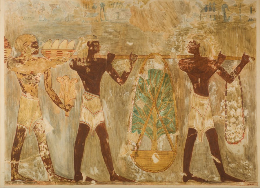 The Land Of Punt & Eritrea
