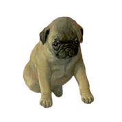 A dog sitting on the floor

AI-generated content may be incorrect.