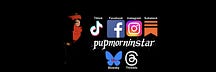 pupmorningstar