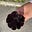 Riham Hussain's avatar