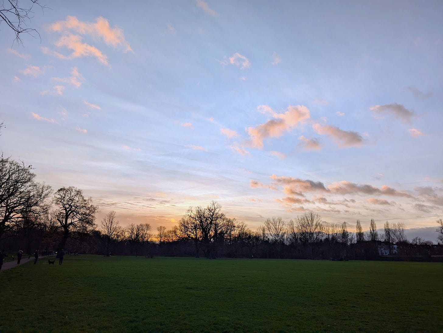 May be an image of tree, twilight, fog and horizon
