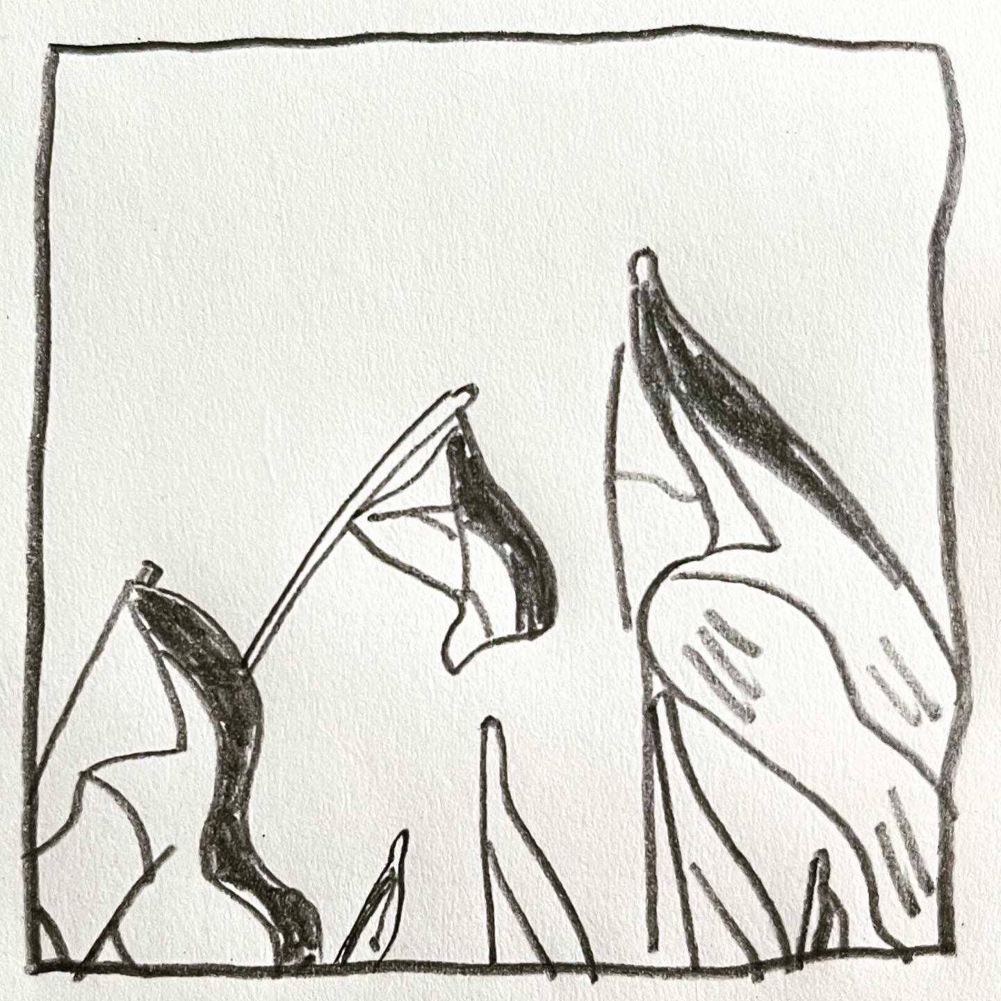 Panel 2: no text Image: Palestinian flags waving in the sky. No people are visible in the frame.