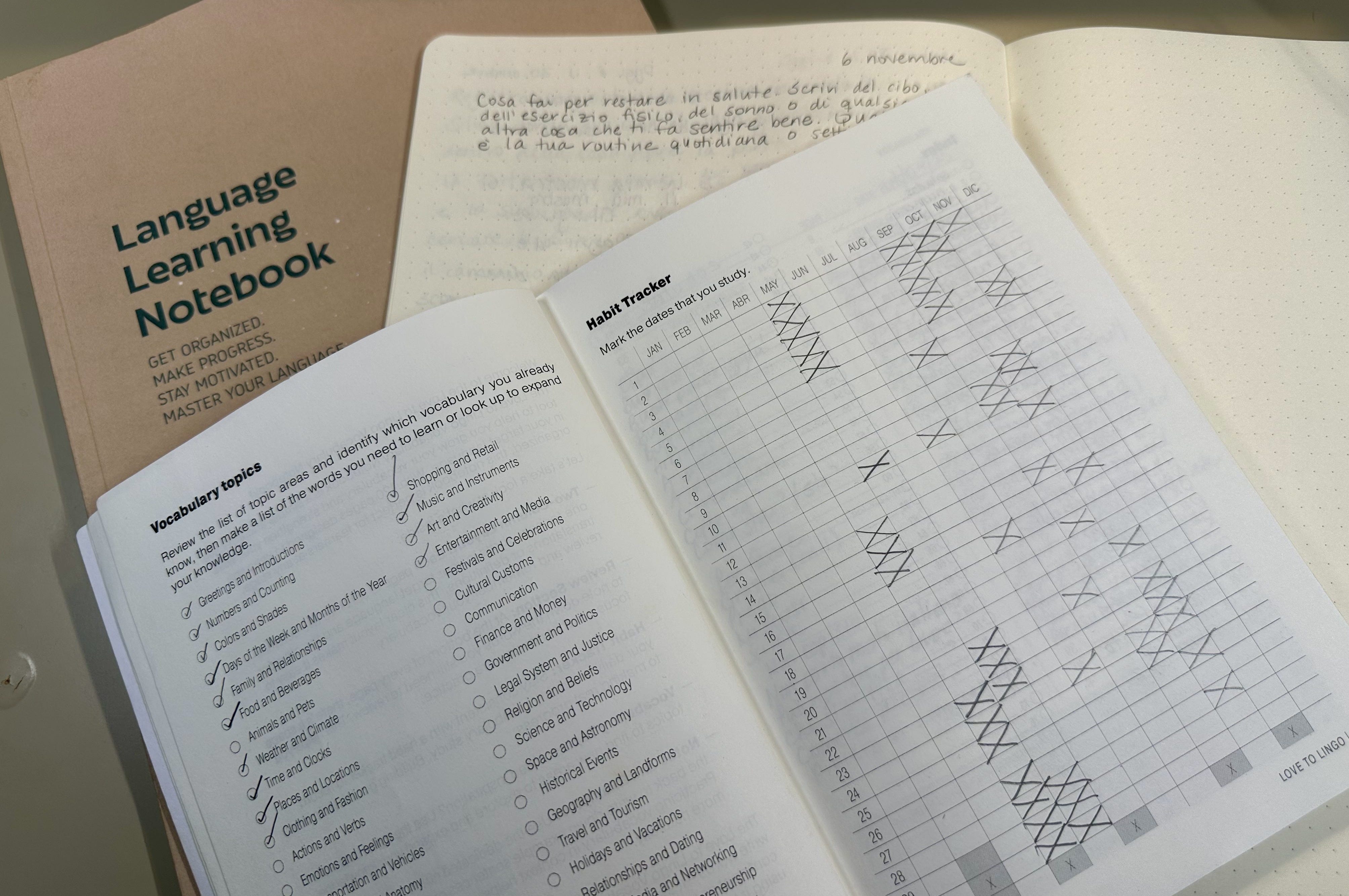 Beginner? Intermediate? What to Prioritize at Every Stage of Language ...